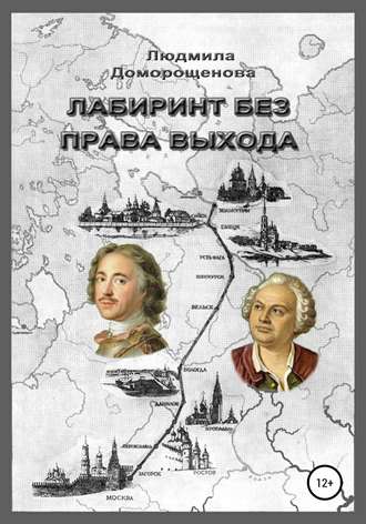 Людмила Доморощенова, Лабиринт без права выхода. Книга 1. Загадки Ломоносова
